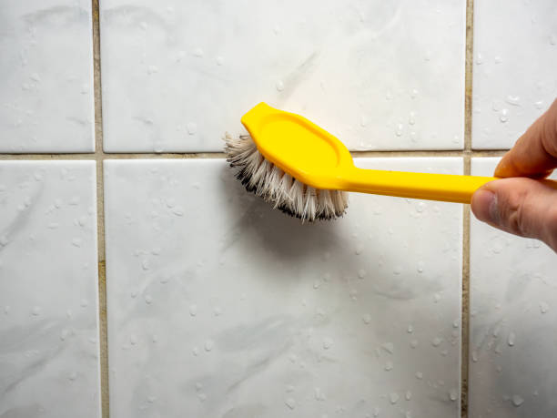 Certified Mold Removal in Thornport, OH
