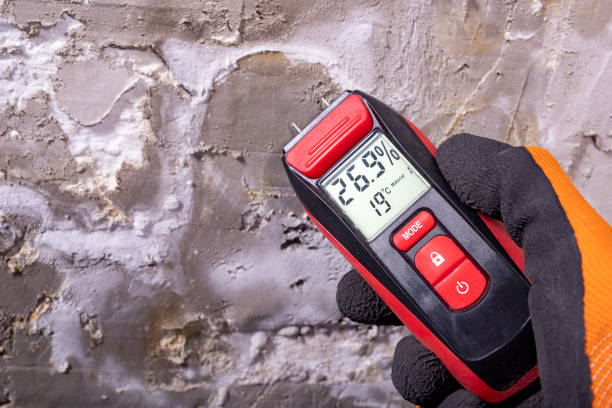 Best Water Damage Restoration  in Thornport, OH