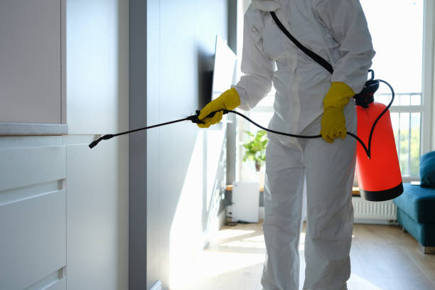 Best Residential Mold Removal  in Thornport, OH