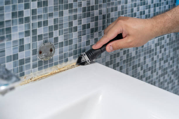 Best Mold Removal Near Me  in Thornport, OH