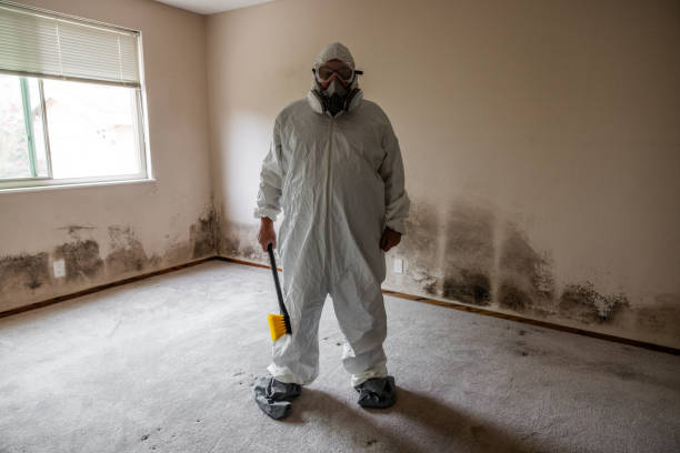 Best Toxic Mold Removal  in Thornport, OH